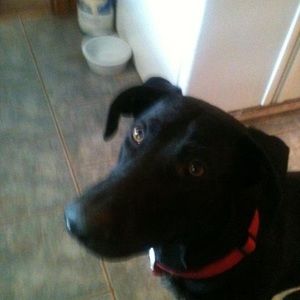 Meet your Posher, Randyndebbie